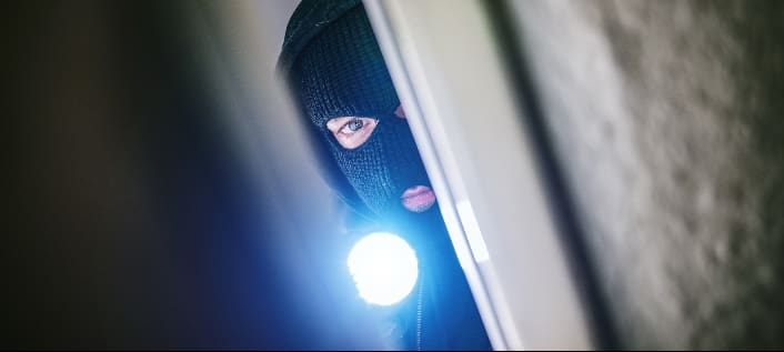 monitored intruder alarms